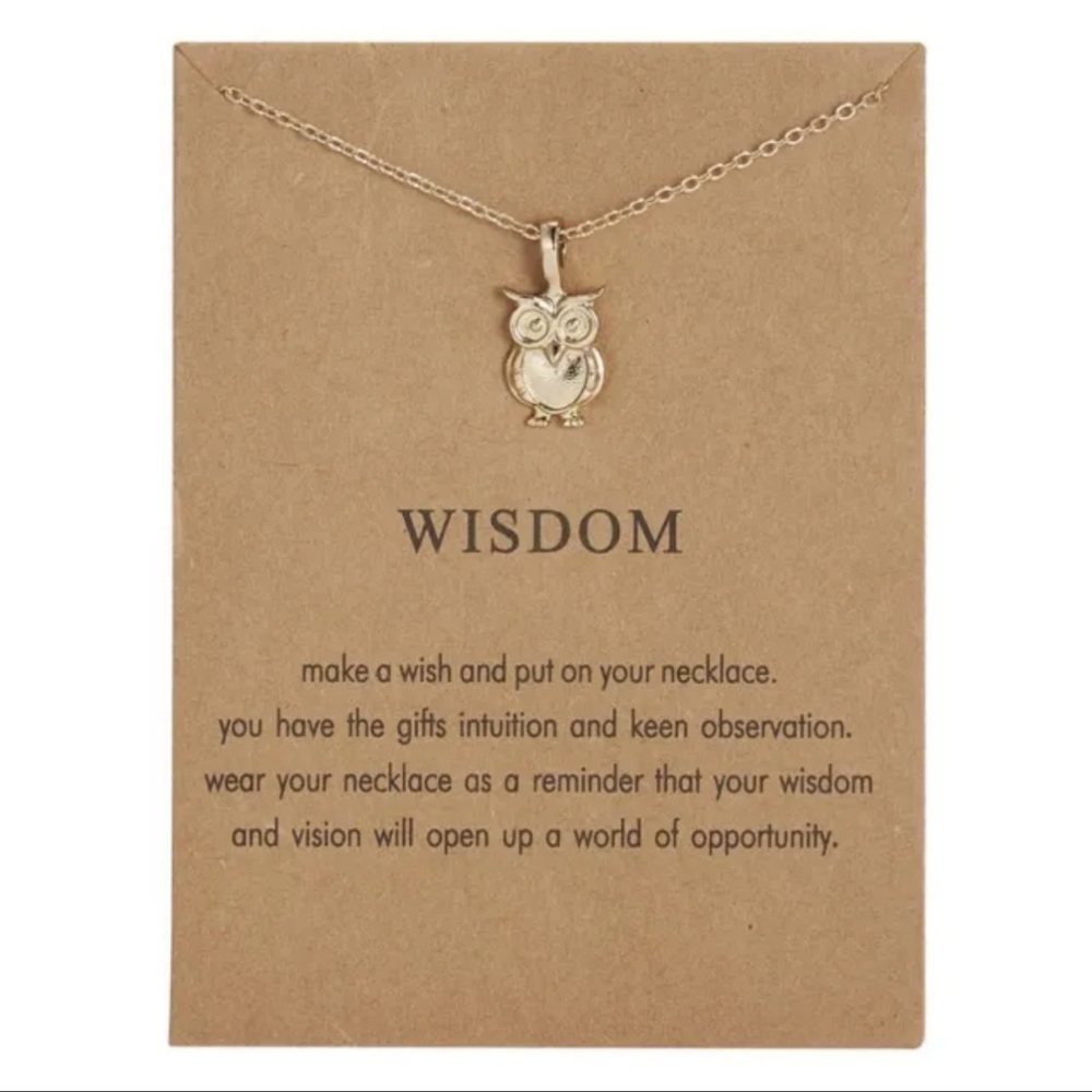 NEW Owl Wisdom Necklace